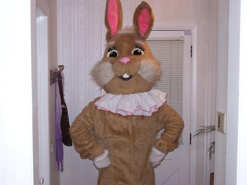 adult size peter cottontail