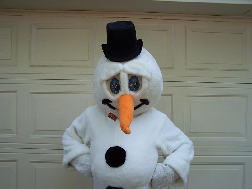 snowman costume